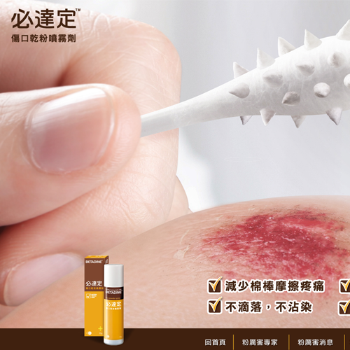 必達定 RWD網頁 網站設計